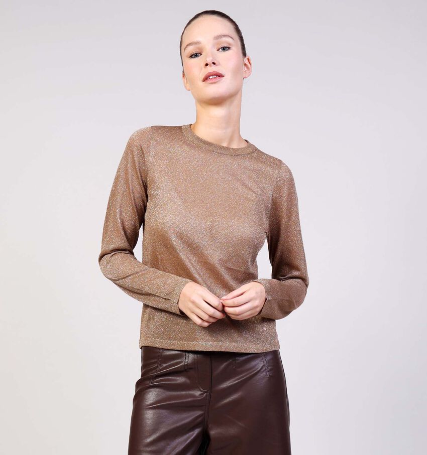 Orfeo Hazelnut Bruine Glitter Trui