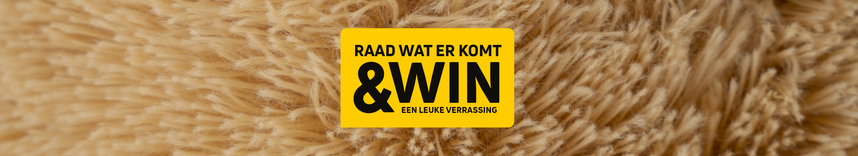 beresterkinjeschoenen