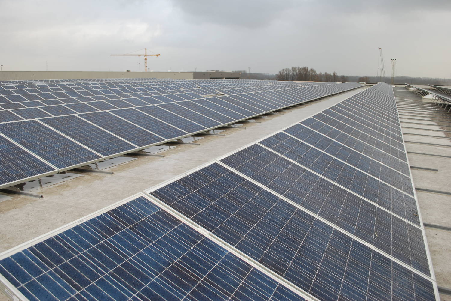 zonnepanelen