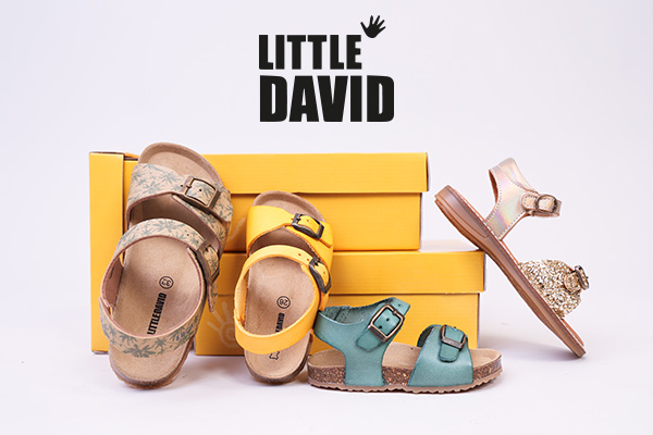 Littledavid