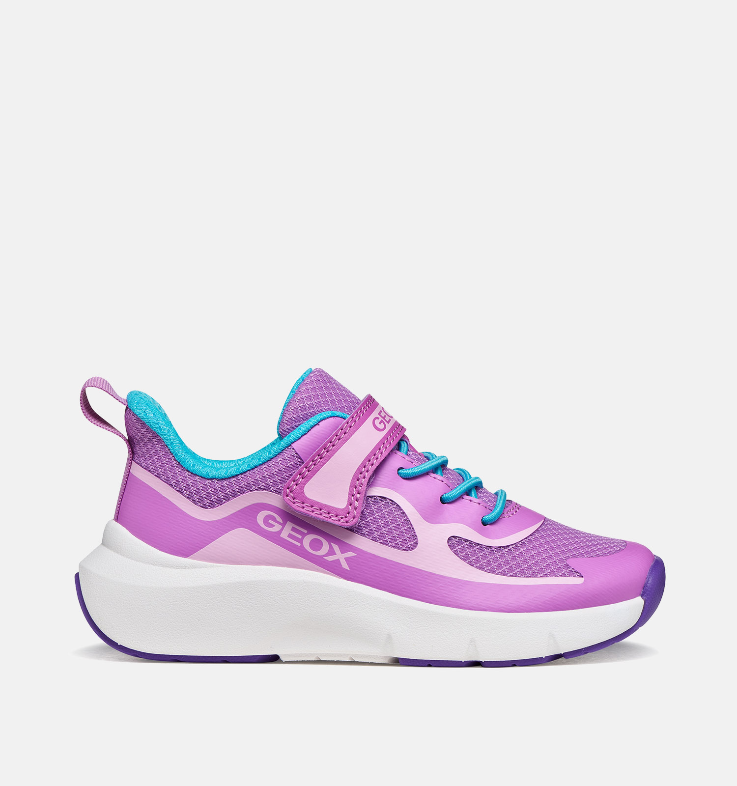 Geox Baskets basses en Lila