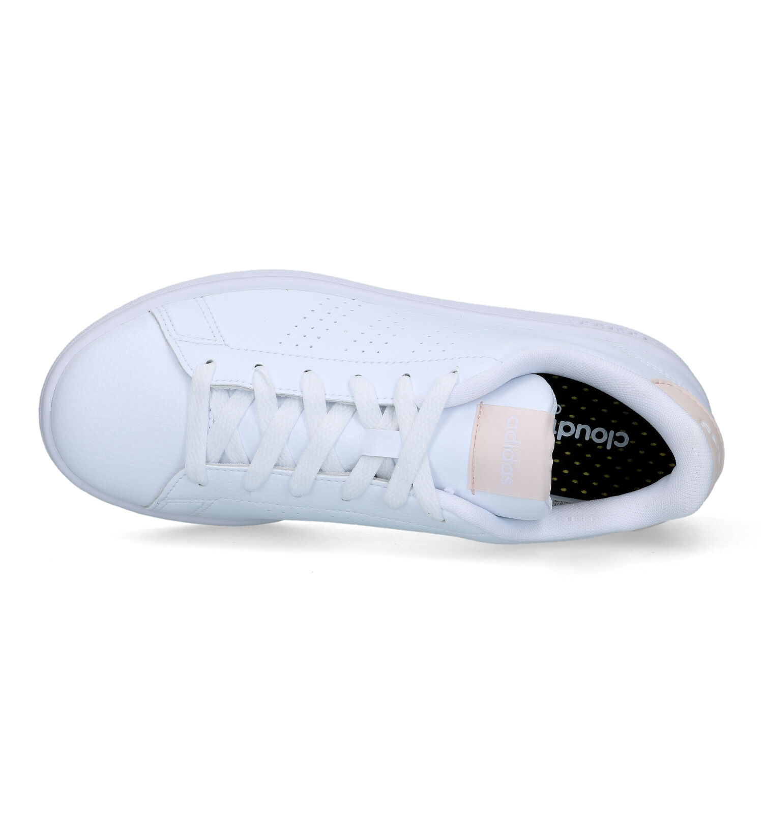 Overredend plannen restjes adidas Advantage Witte Sneakers | Dames Sneakers