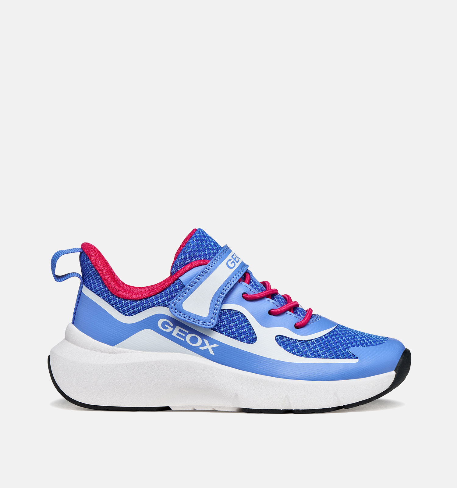 Geox Baskets basses en Bleu foncé